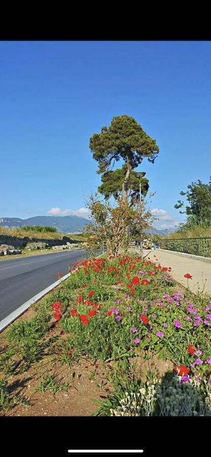 Villa Donatella Paestum Ngoại thất bức ảnh