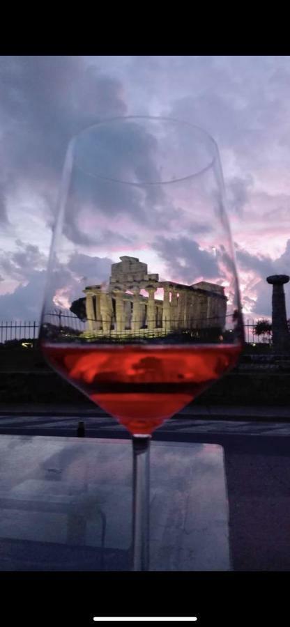 Villa Donatella Paestum Ngoại thất bức ảnh