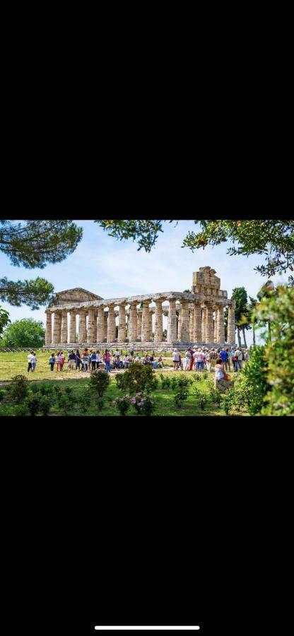 Villa Donatella Paestum Ngoại thất bức ảnh